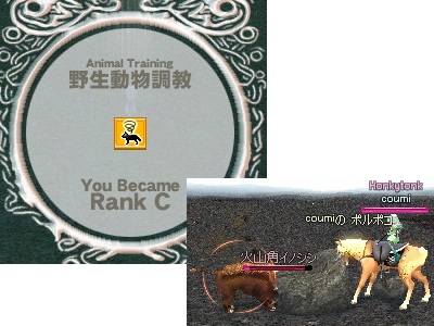 1181.jpg