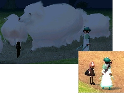 988.jpg