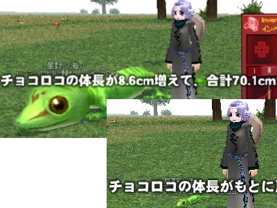 burogu.15.jpg
