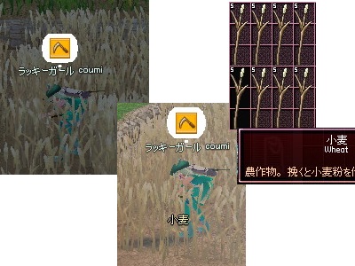burogu.802.jpg